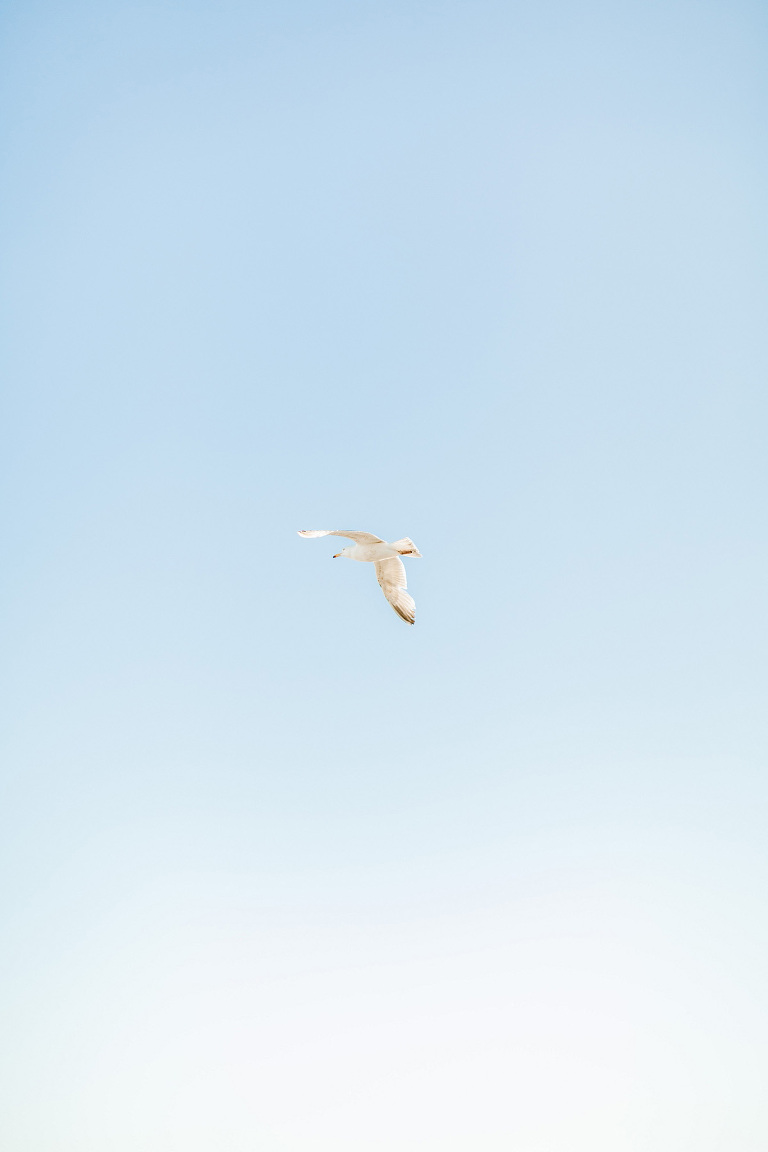 Naomi-Kenton-Photography_0335